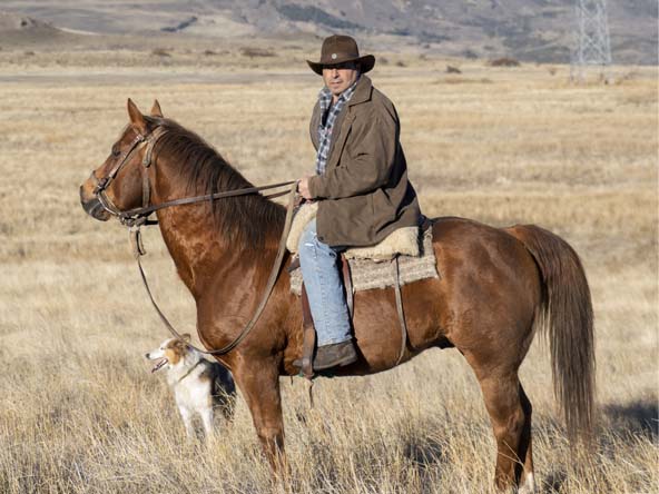 <p>STORIES FROM THE FARM</p>
