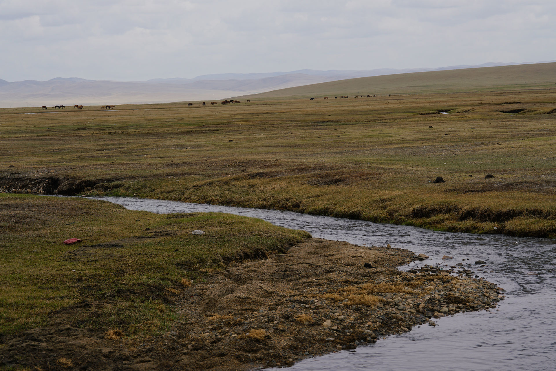 Cashmere Road introduction picture