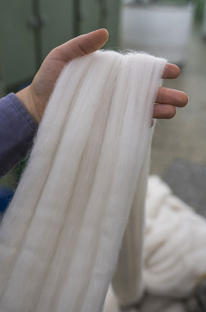 Why wool - link picture