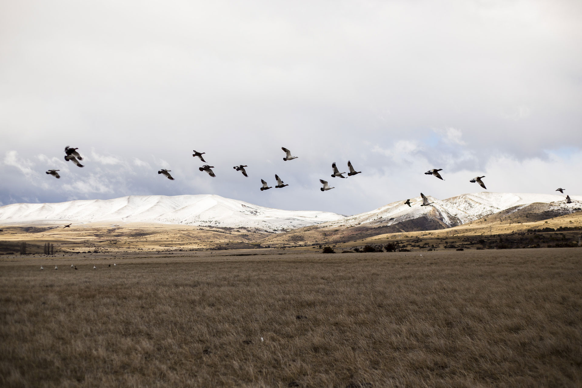 a positive<br/>impact