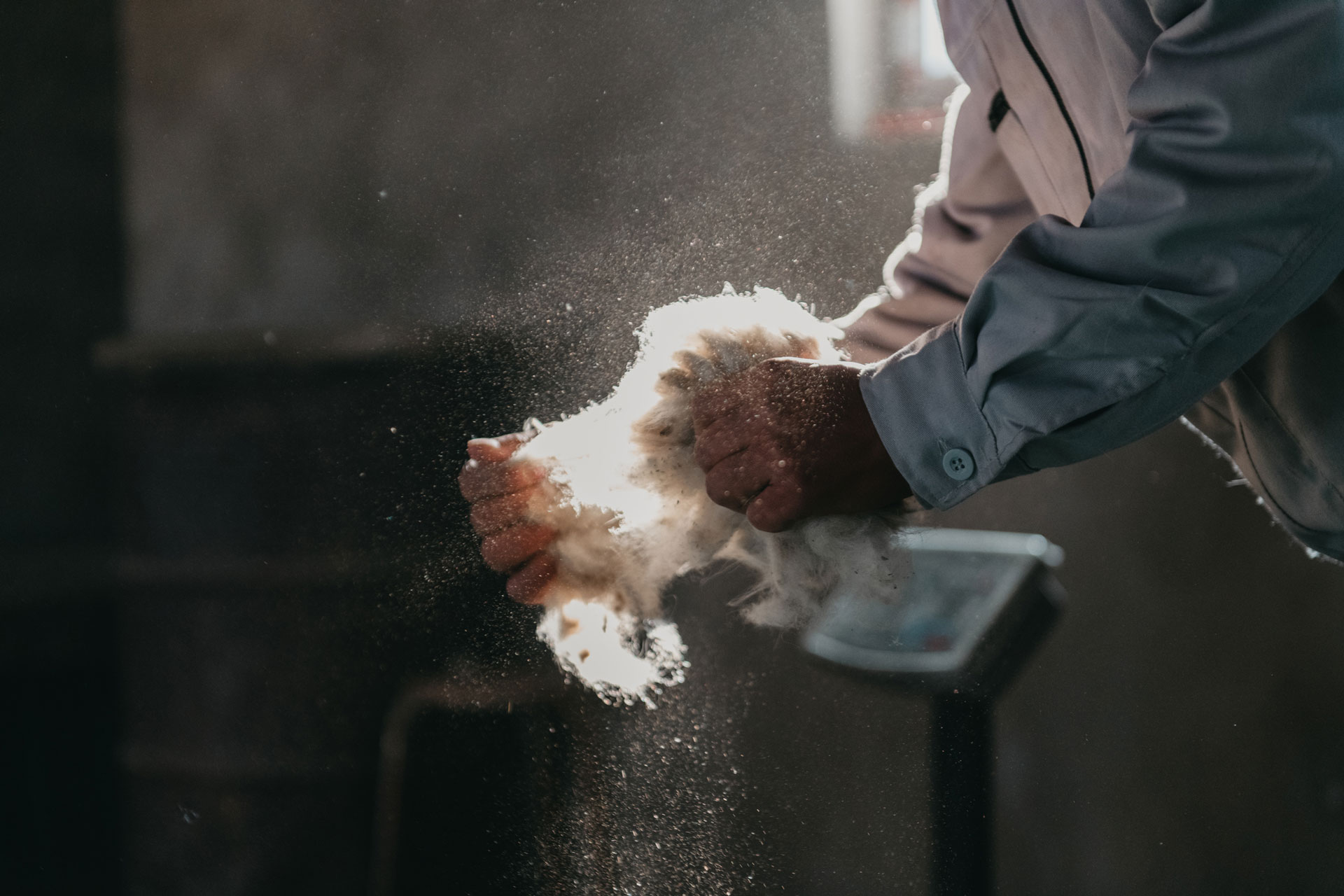 protecting<br/>local<br/>tradition