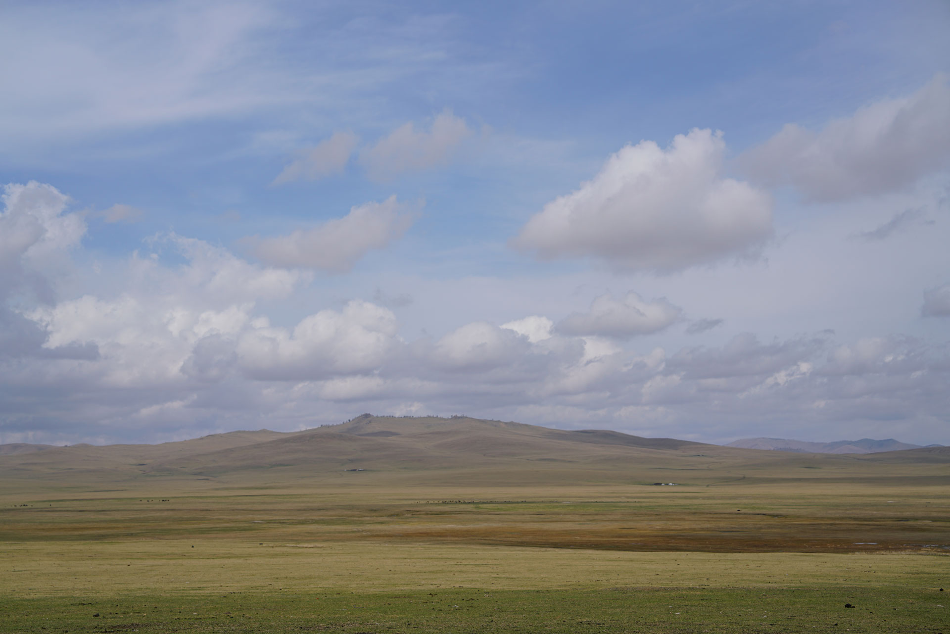 gentle<br/>on the planet